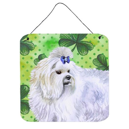 Carolines Treasures Maltese St Patricks Wall or Door Hanging Prints BB9825DS66